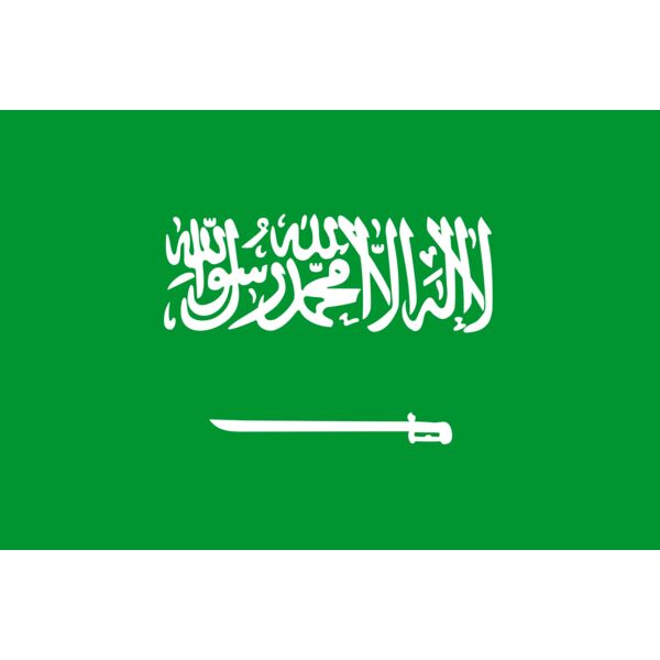 saudi arabia Thumbnail